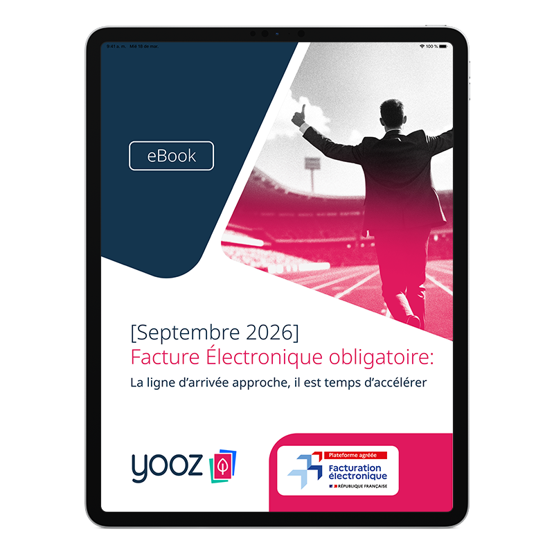 Ebook Facture Electronique France 2026